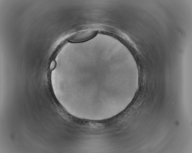 X0000113051312200910081223