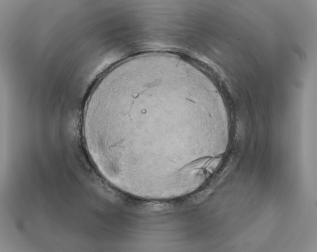 X0000113051314200910081223