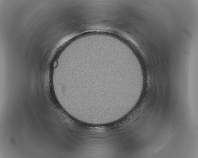 X0000113051315200910081223