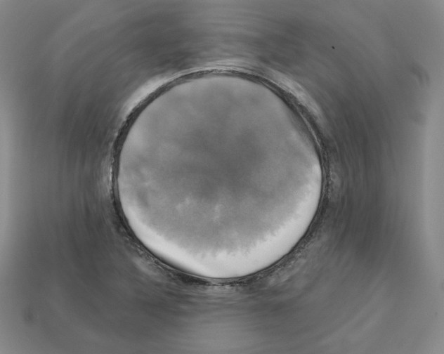 X0000113051316200910081223