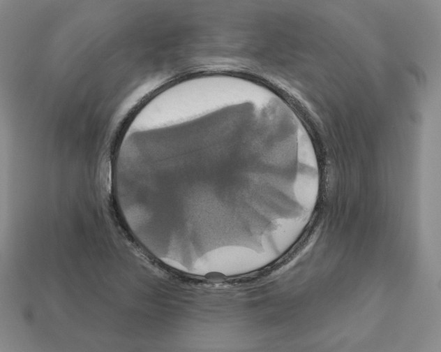 X0000113051317200910081223