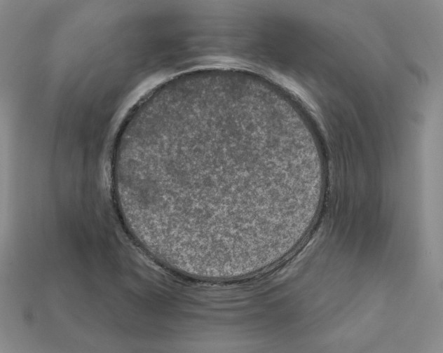 X0000113051318200910081223