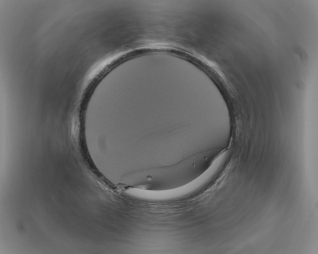 X0000113051319200910081223