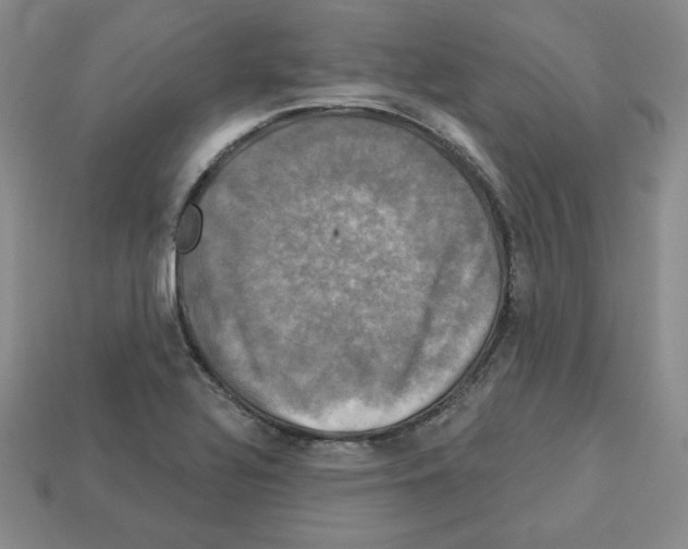 X0000113051320200910081223