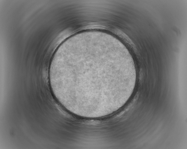 X0000113051321200910081223