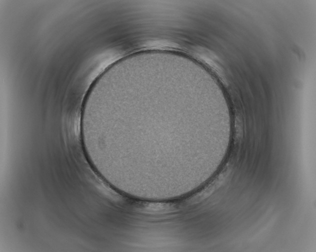 X0000113051322200910081223