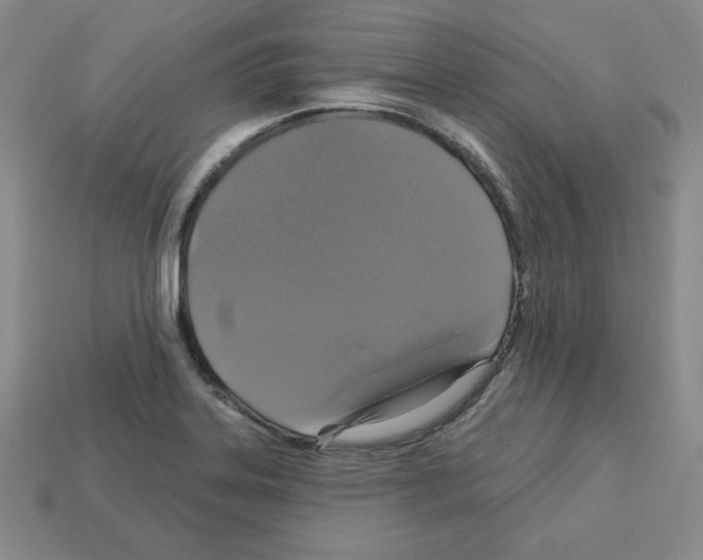 X0000113051323200910081223