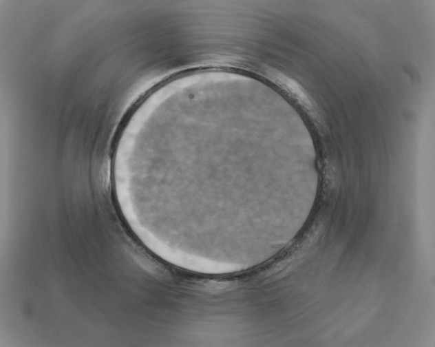X0000113051324200910081223