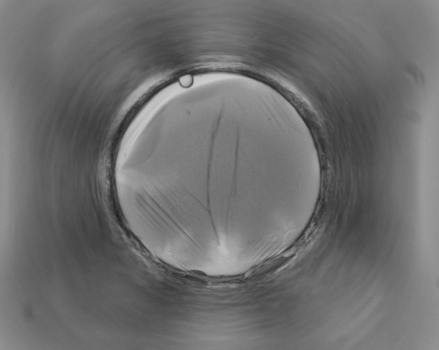 X0000113051325200910081223