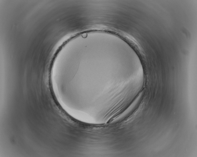 X0000113051326200910081223
