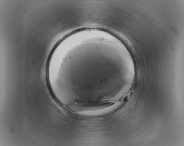 X0000113051327200910081223