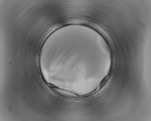 X0000113051329200910081223