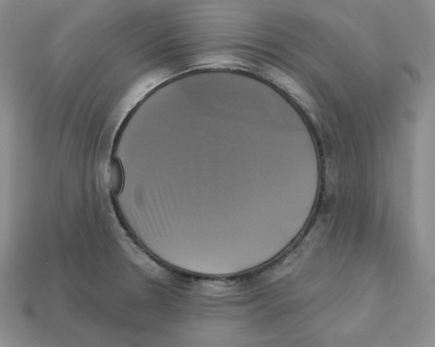 X0000113051330200910081223