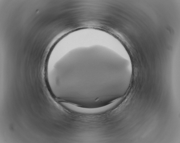 X0000113051331200910081223