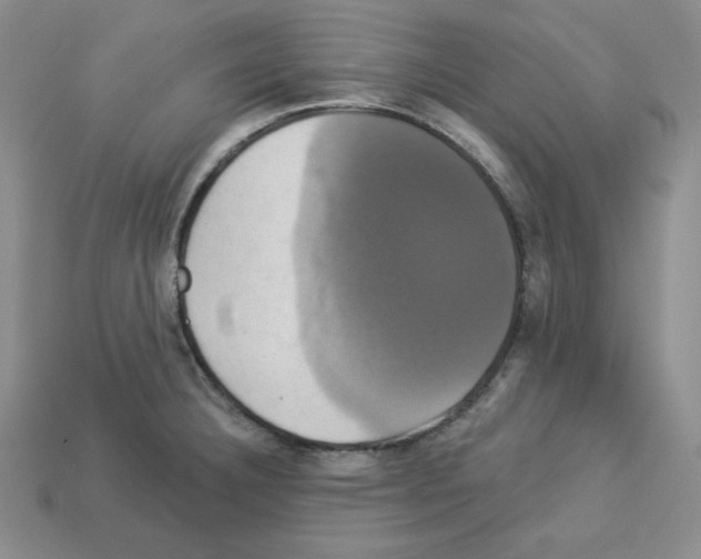 X0000113051332200910081223