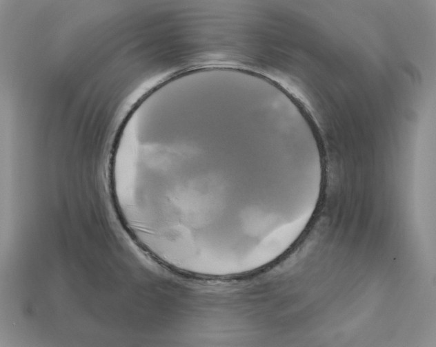 X0000113051333200910081223