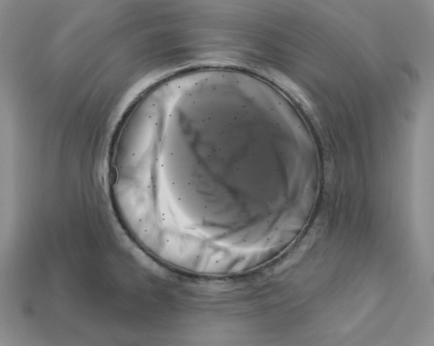 X0000113051334200910081223