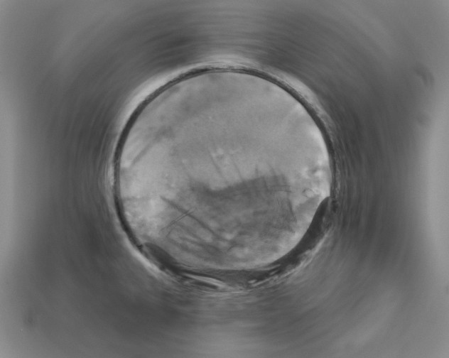X0000113051335200910081223