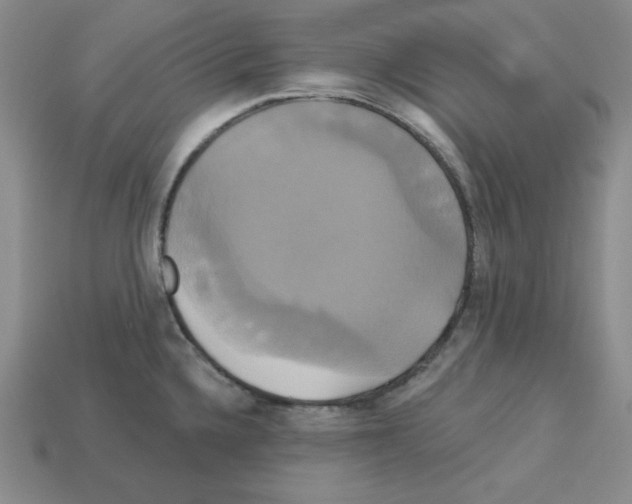 X0000113051336200910081223