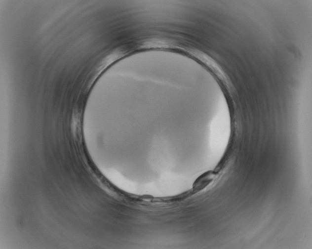 X0000113051337200910081223