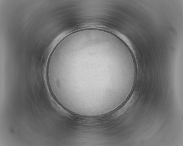 X0000113051338200910081223