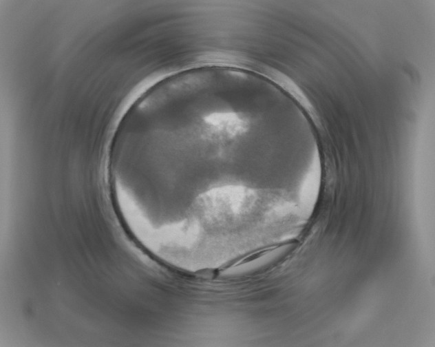 X0000113051339200910081223