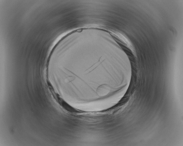 X0000113051340200910081223