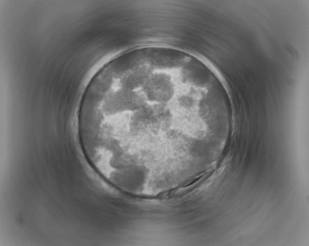 X0000113051341200910081223