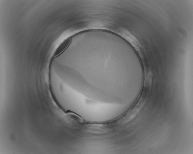 X0000113051342200910081223