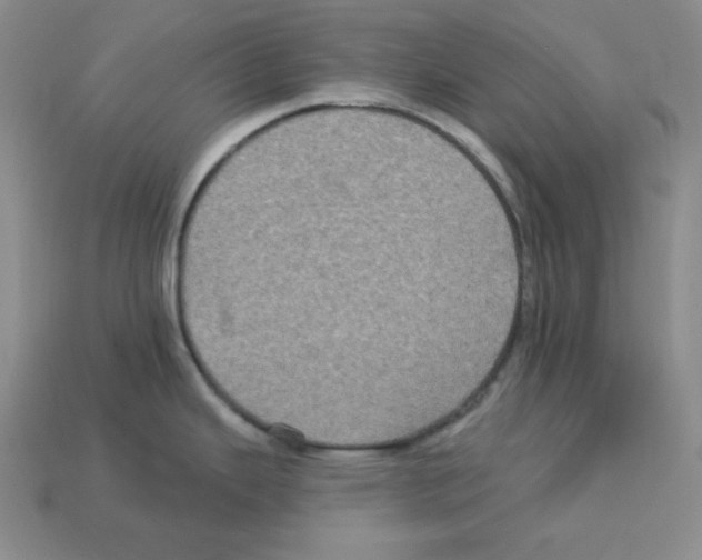X0000113051343200910081223