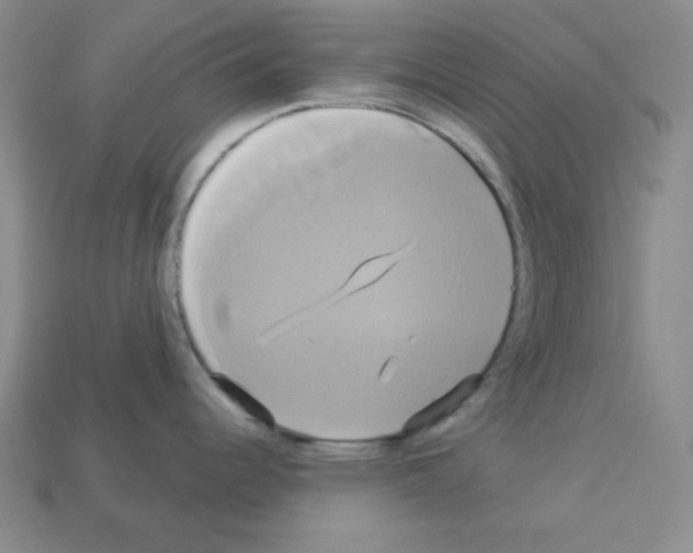 X0000113051344200910081223