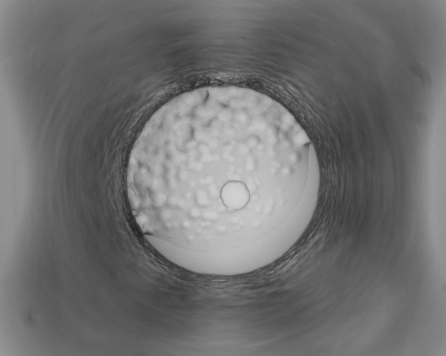 X0000113051345200910081223
