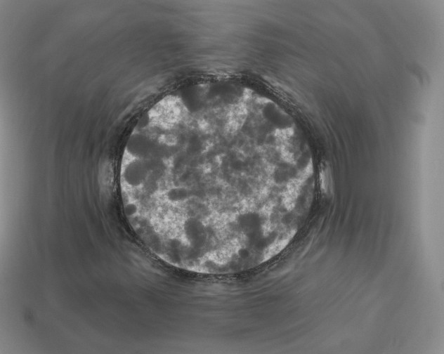 X0000113051347200910081223