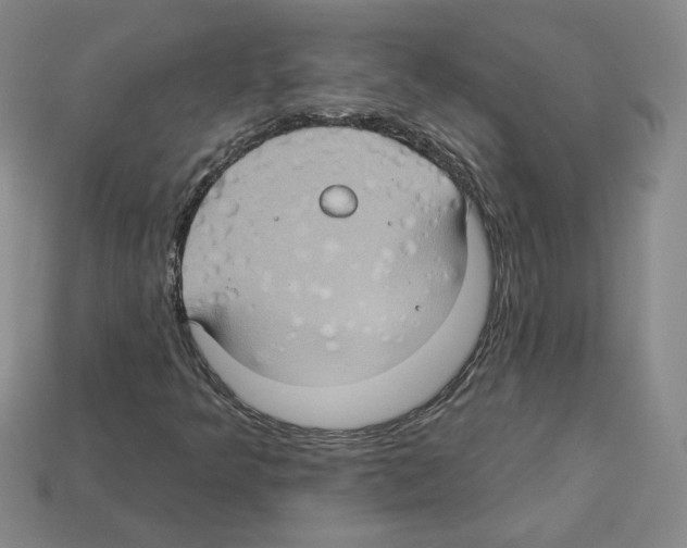 X0000113051349200910081223