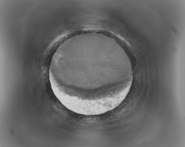 X0000113051351200910081223