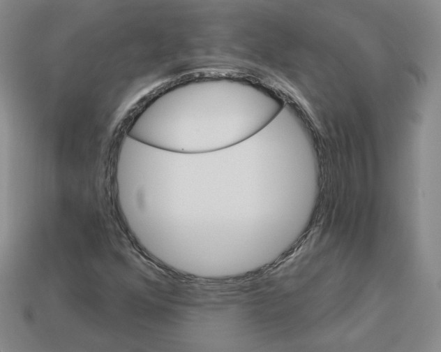 X0000113051352200910081223