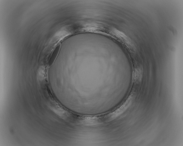 X0000113051353200910081223
