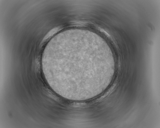 X0000113051354200910081223