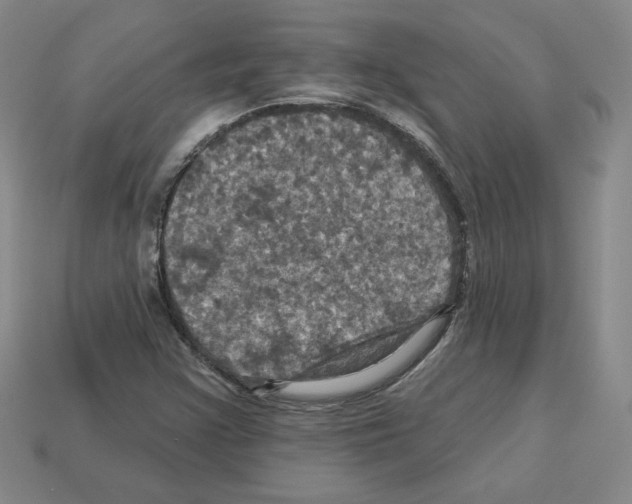 X0000113051355200910081223