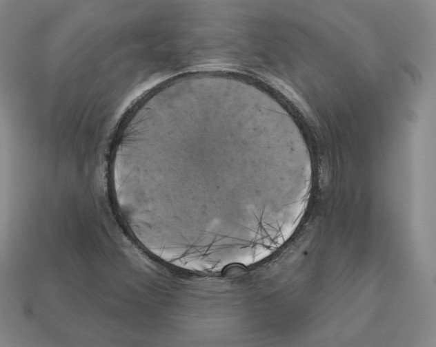 X0000113051356200910081223