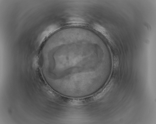 X0000113051357200910081223