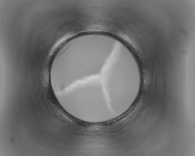 X0000113051358200910081223