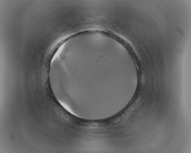 X0000113051359200910081223