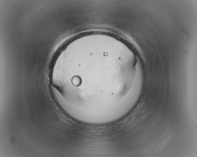 X0000113051360200910081223