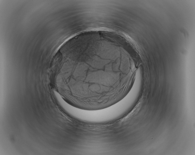 X0000113051361200910081223