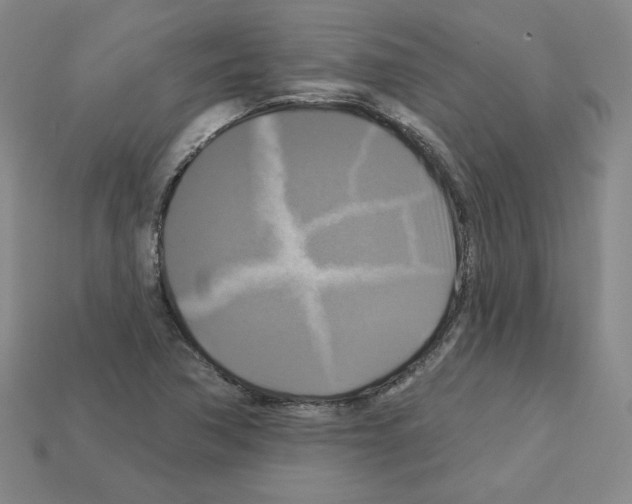 X0000113051362200910081223