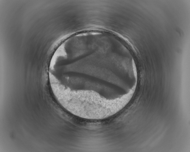 X0000113051363200910081223