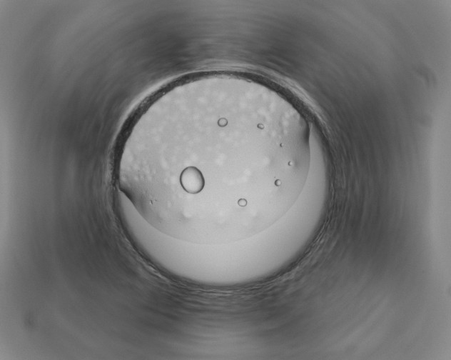 X0000113051364200910081223