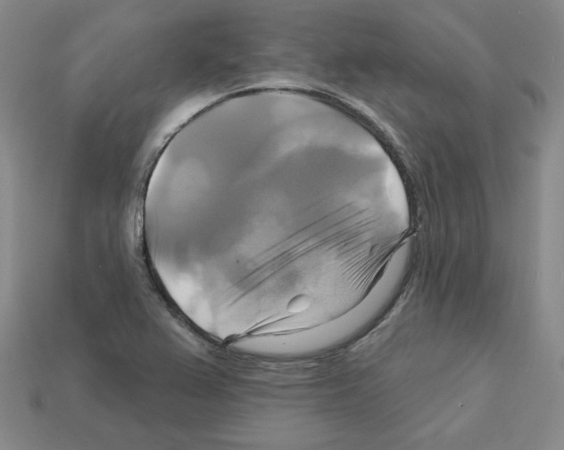 X0000113051367200910081223
