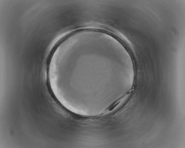 X0000113051368200910081223